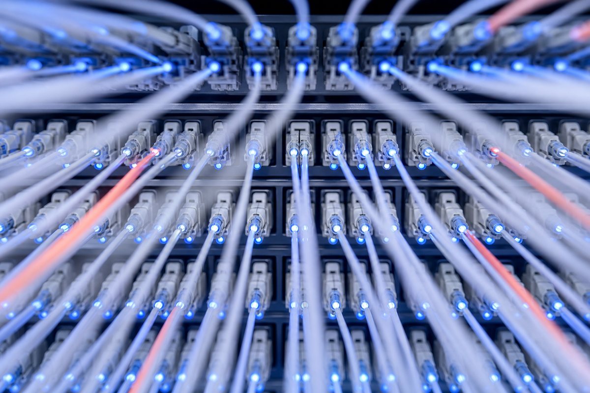 A dense fibre-optic patch panel with light glowing down the fibre ends